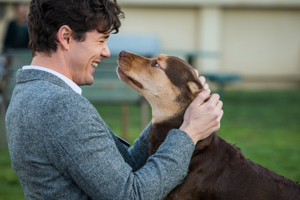 Lucas (Jonah Hauer-King) and Bella (Amber) in Columbia Pictures' A DOG'S WAY HOME. | The Little Binger