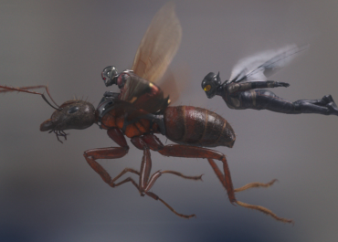 They take flightin Ant-Man and the Wasp | Credit: Marvel