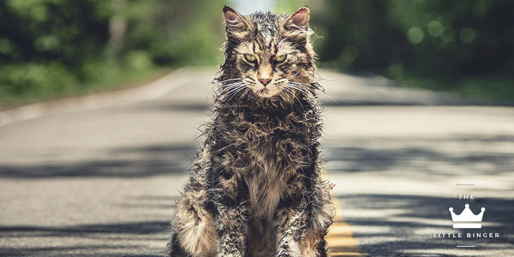 Beware of Church the Cat in Pet Sematary | The Little Binger | Credit: United International Pictures