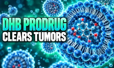 oral DHB prodrug clears mouse tumors PD-1