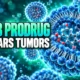 oral DHB prodrug clears mouse tumors PD-1